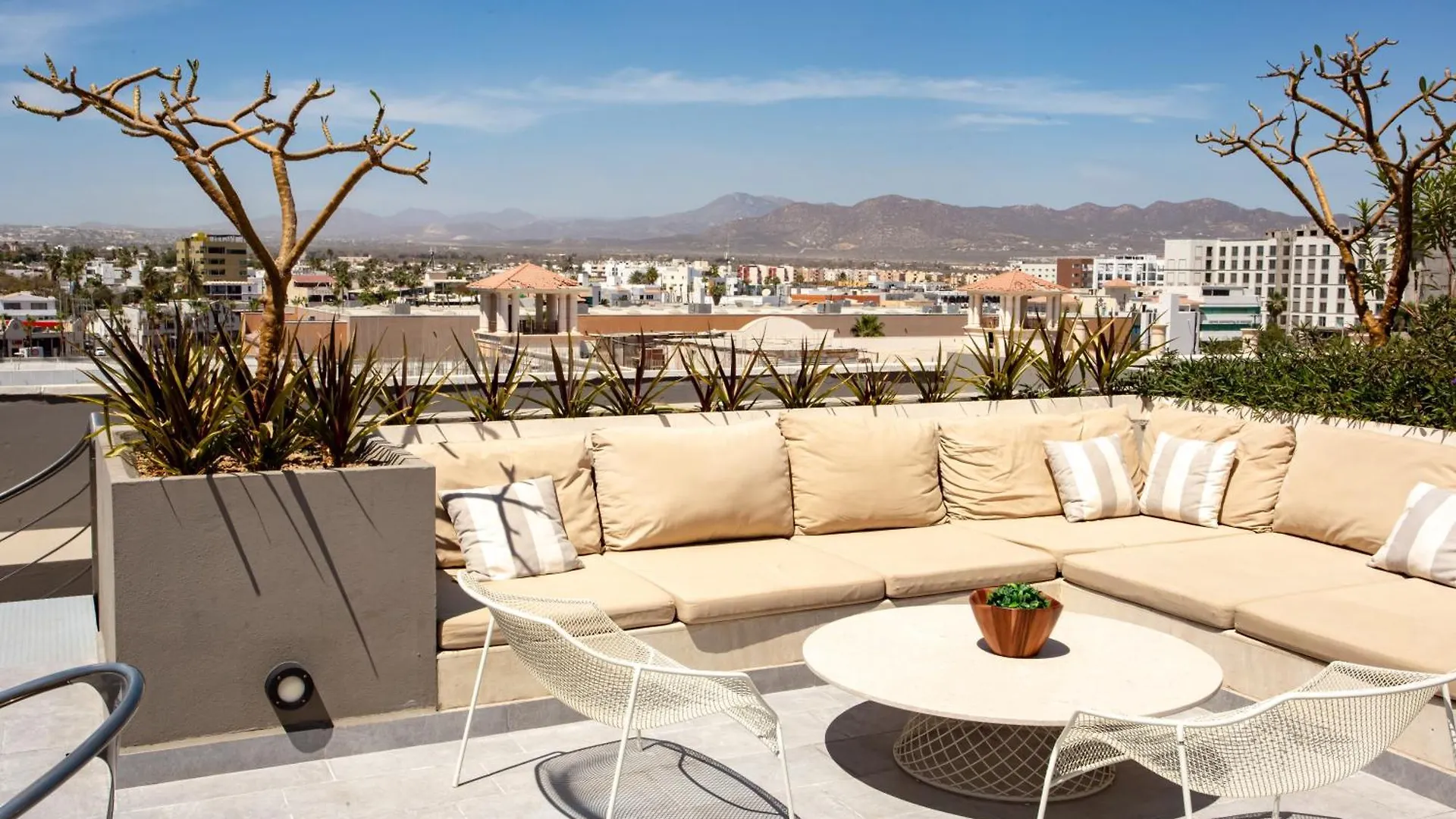 公寓 Marina 1Br Sofabed Near Beach With Private Jacuzzi 卡波圣卢卡斯